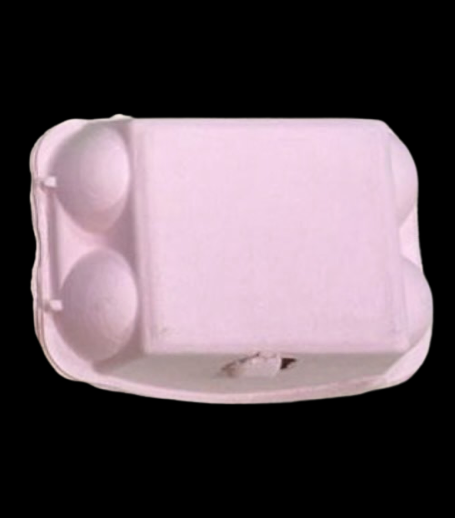 Egg Carton Bath Bomb (x6 Bombs per carton)